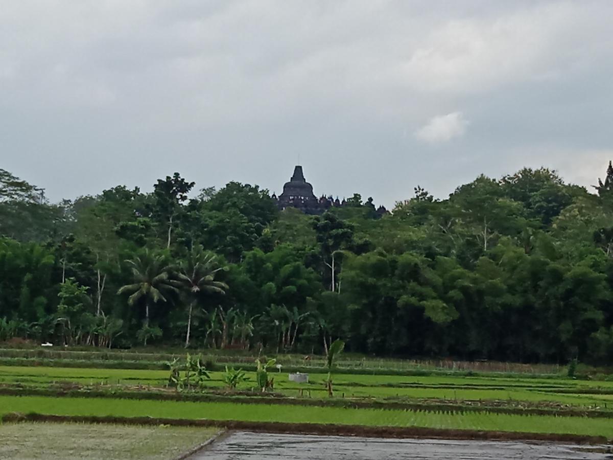 Penginapan & Guest House Mbok Dhe Borobudur Magelang Esterno foto